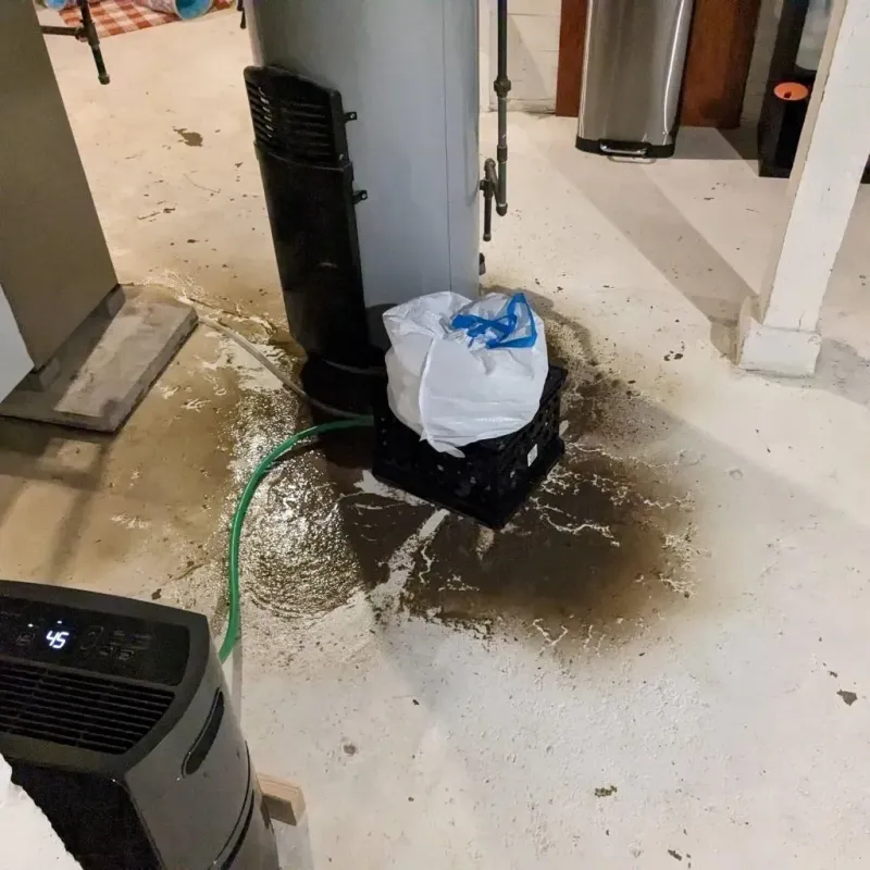 Sewage Backup Cleanup Service in Pueblo West, CO